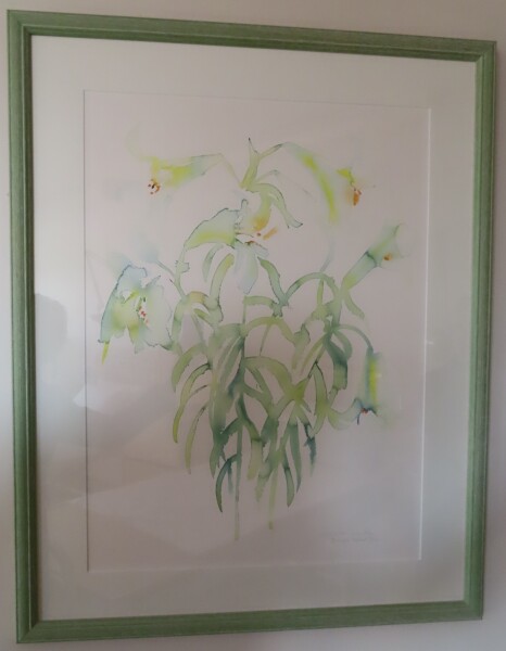 image FDA-D.1790-2026-A