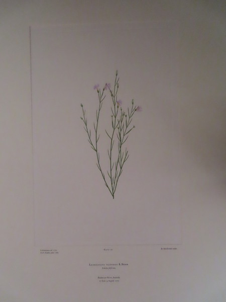 FDA-E.2916_8_22-2016 image FDA-E.2916_8_22-2016