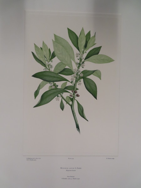 image FDA-E.2916_25_12-2016