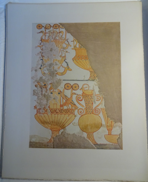 image FDA-E.3055_49-2018