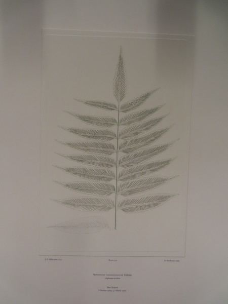 image FDA-E.2916_27_14-2016-A