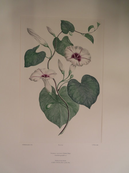 FDA-E.2916_30_6-2016 image FDA-E.2916_30_6-2016