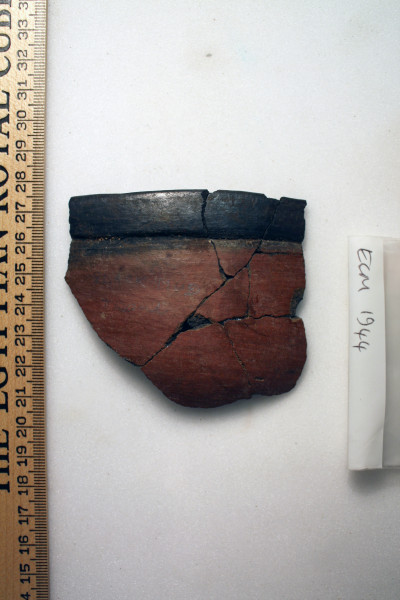 ECM.1944-2010-A image ECM.1944-2010-A