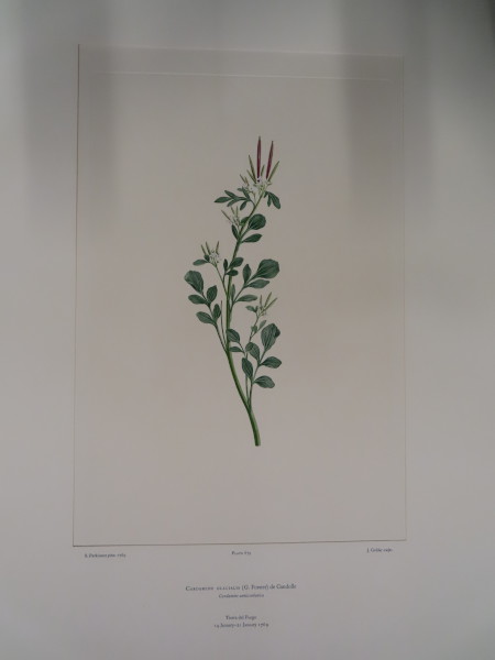 image FDA-E.2916_32_9-2016