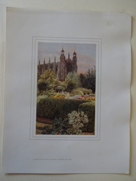 FDA-E.2833_1-2016 image FDA-E.2833_1-2016