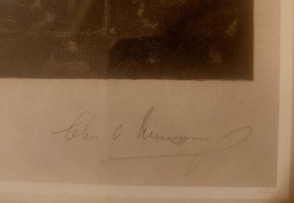 image FDA-E.1009-2013-E