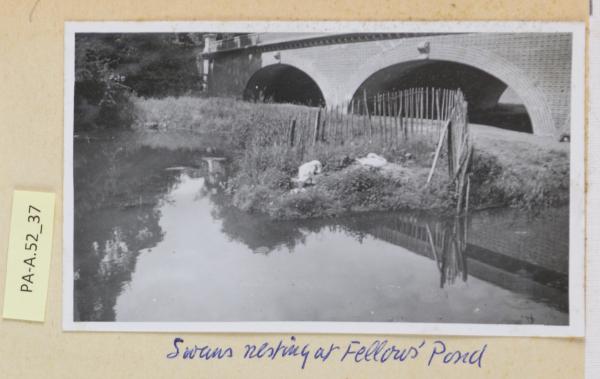 PA-A.52_37-2013 image PA-A.52_37-2013