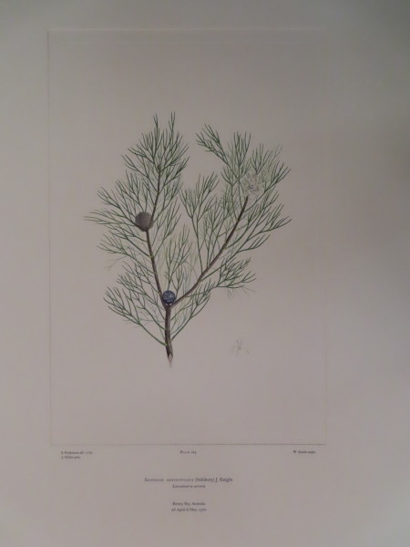 image FDA-E.2916_12_25-2016-A