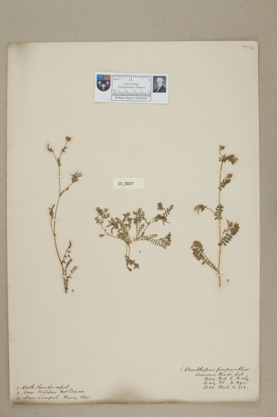 NHM_HH_15.27-2010 image NHM_HH_15.27-2010