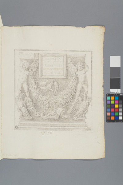 ECL-Bm.12_81-2013 image ECL-Bm.12_81-2013