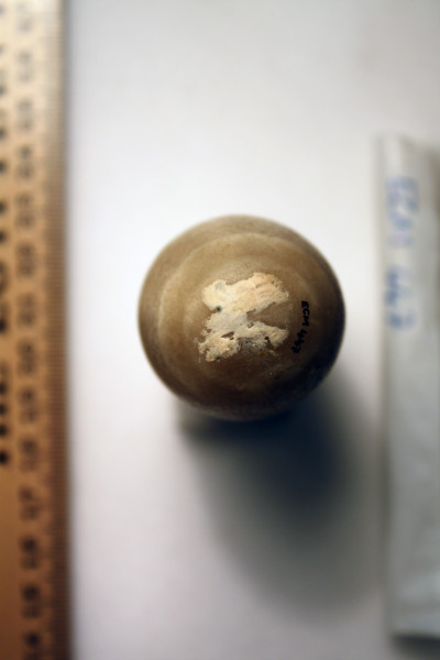 ECM.447-2010-D image ECM.447-2010-D