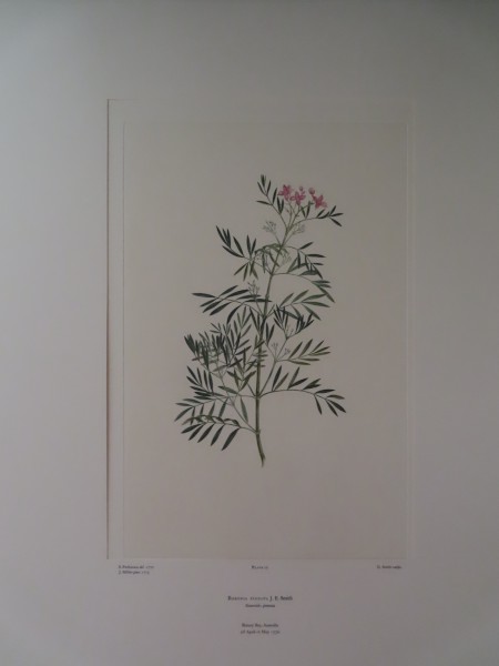 FDA-E.2916_2_10-2016-A image FDA-E.2916_2_10-2016-A