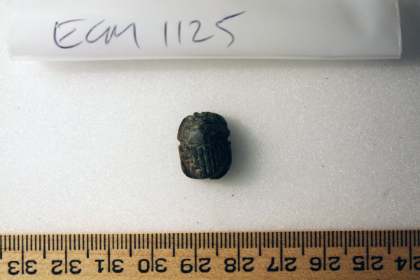 ECM.1125-2010-A image ECM.1125-2010-A