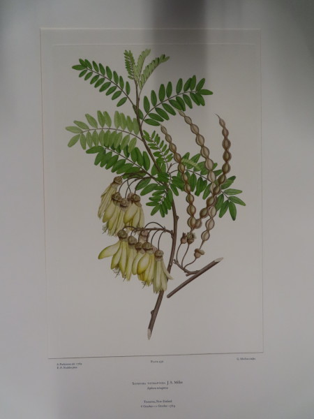 image FDA-E.2916_21_10-2016