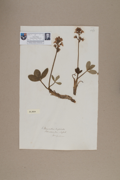 NHM_HH_20.24-2010 image NHM_HH_20.24-2010