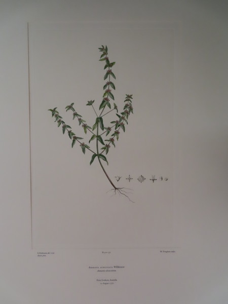 image FDA-E.2916_6_23-2016