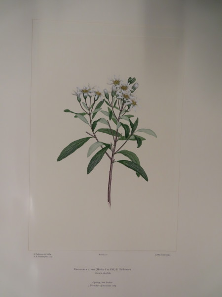 FDA-E.2916_23_11-2016 image FDA-E.2916_23_11-2016