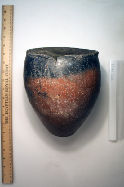 ECM.1211-2010-A image ECM.1211-2010-A