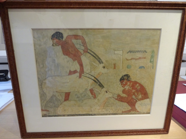 FDA-E.3055_9-2018 image FDA-E.3055_9-2018