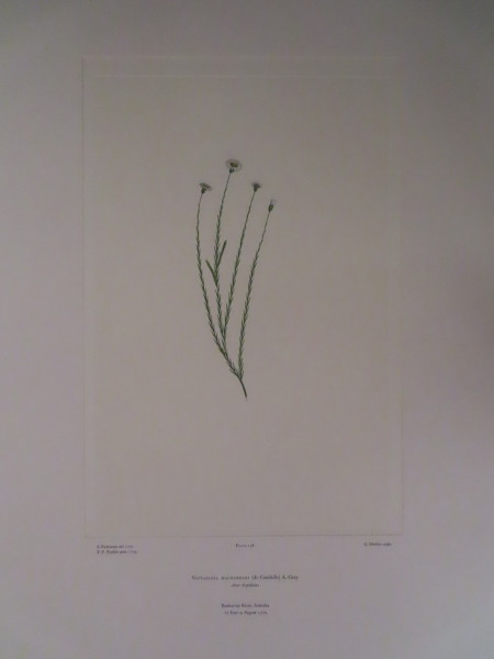 FDA-E.2916_8_4-2016-A image FDA-E.2916_8_4-2016-A