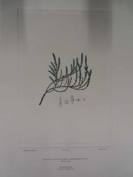 image FDA-E.2916_25_17-2016