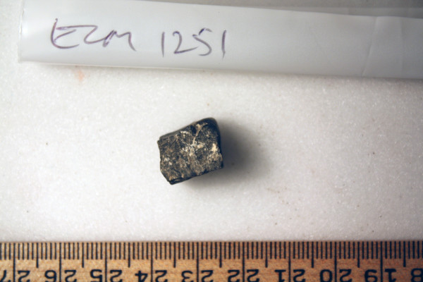 ECM.1251-2010-A image ECM.1251-2010-A