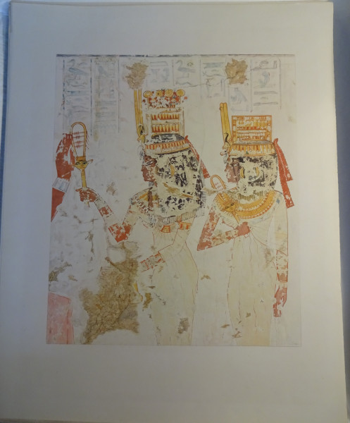 FDA-E.3055_59-2018 image FDA-E.3055_59-2018