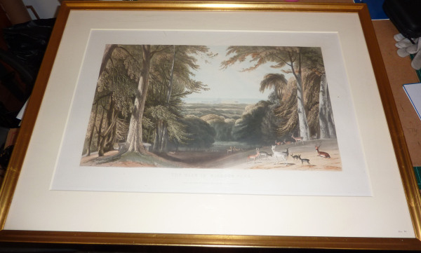 FDA-E.259_8-2010 image FDA-E.259_8-2010