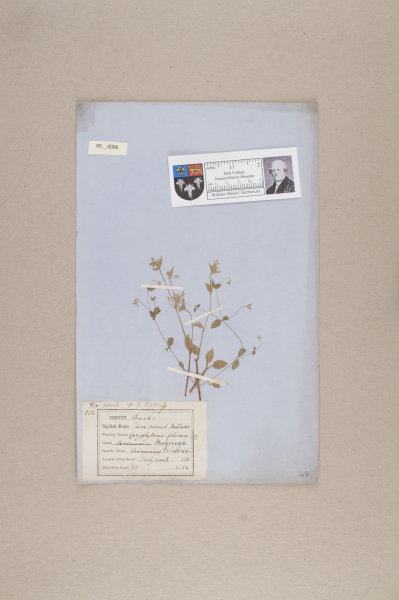 NHM_HH_9.6-2010 image NHM_HH_9.6-2010