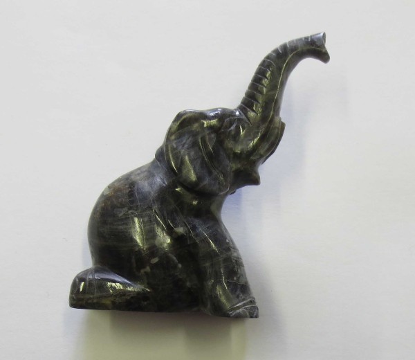 NHM-EE.44-2015 image NHM-EE.44-2015