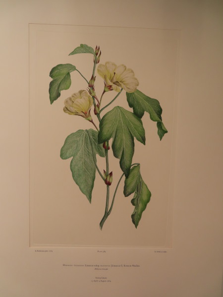 image FDA-E.2916_28_8-2016-A