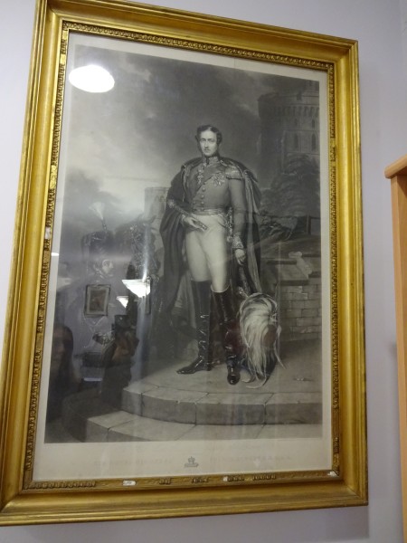 FDA-E.2942-2016 image FDA-E.2942-2016