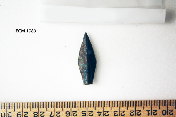 ECM.1989-2010-A image ECM.1989-2010-A