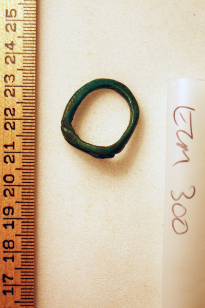 ECM.300-2010-B image ECM.300-2010-B