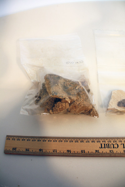 ECM.5554-2017-E image ECM.5554-2017-E