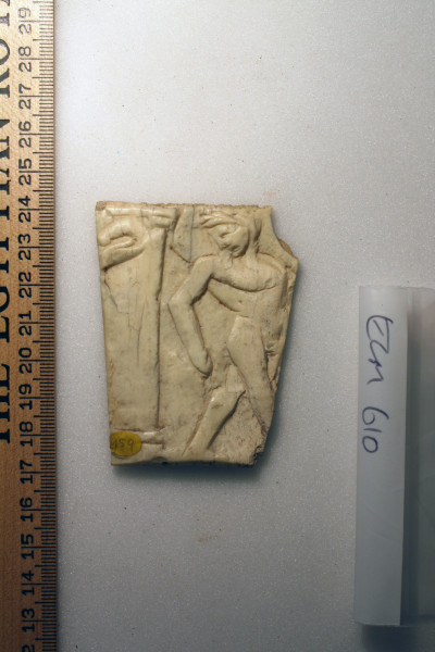 ECM.610-2010-A image ECM.610-2010-A