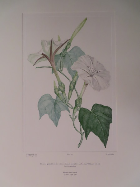 FDA-E.2916_10_23-2016 image FDA-E.2916_10_23-2016