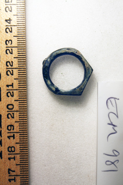 ECM.981-2010-B image ECM.981-2010-B