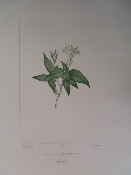 FDA-E.2916_12_6-2016 image FDA-E.2916_12_6-2016