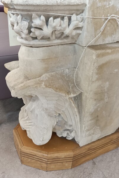 FDA-A.2449_1-2023-A image FDA-A.2449_1-2023-A