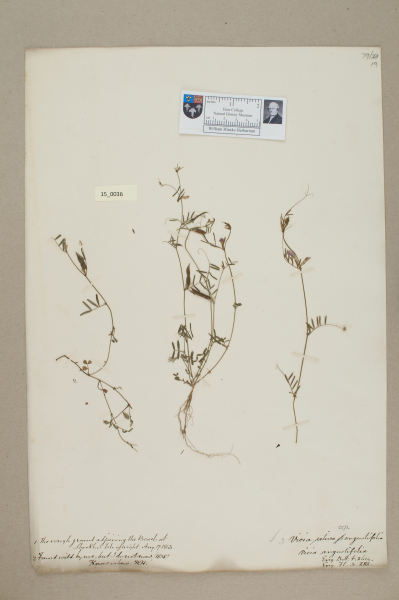 NHM_HH_15.36-2010 image NHM_HH_15.36-2010