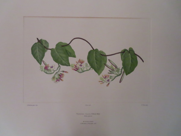 image FDA-E.2916_16_14-2016