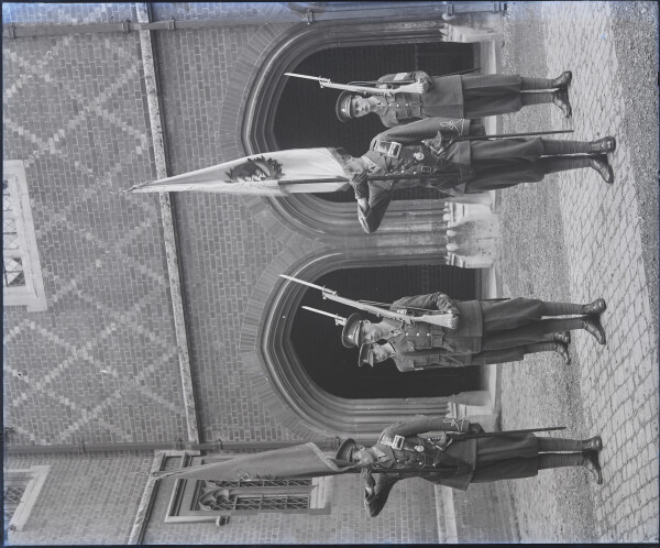 image PA-N.1348-2024