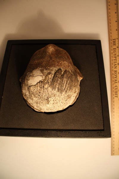 ECM.2164-2010-D image ECM.2164-2010-D