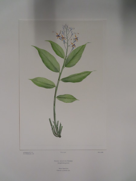 image FDA-E.2916_18_18-2016-A