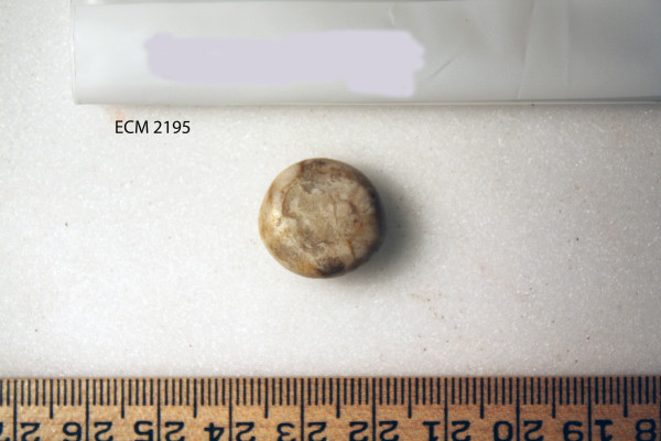 ECM.2195-2010-A image ECM.2195-2010-A