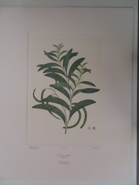 image FDA-E.2916_4_25-2016