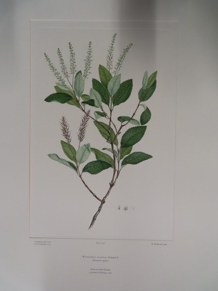 FDA-E.2916_21_15-2016 image FDA-E.2916_21_15-2016