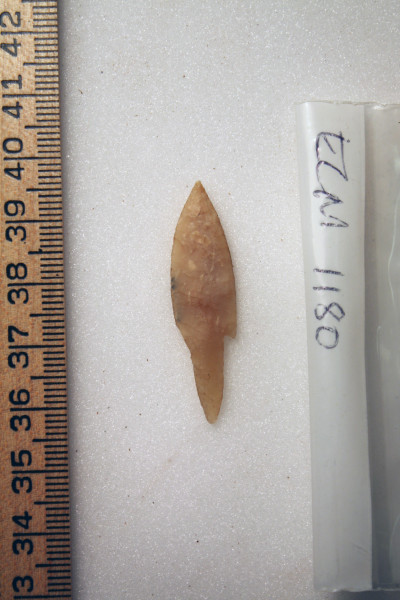 ECM.1180-2010-A image ECM.1180-2010-A