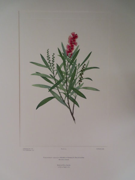 FDA-E.2916_6_5-2016-A image FDA-E.2916_6_5-2016-A